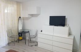 Garsoniera Dristor, 31 mp, zona Dristor