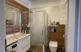 Apartament 3 camere, curte generosa, zona Bucureștii Noi