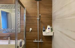 Apartament 3 camere, curte generosa, zona Bucureștii Noi