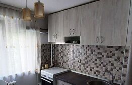 Garsoniera renovata, mobilata si utilata, 27 mp, zona Nicolae Grigorescu