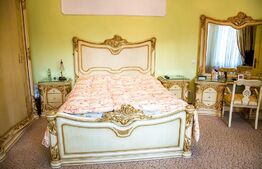 Vila interbelica, consolidata si renovata, 9 camere, 428 mp utili, Cartierul Evreiesc