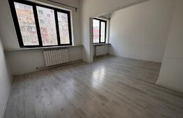 Vila 8 camere, 240 mp, investitie, Piata Victoriei