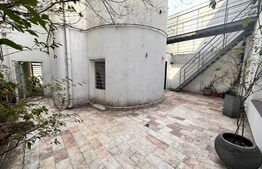 Vila 8 camere, 240 mp, investitie, Piata Victoriei