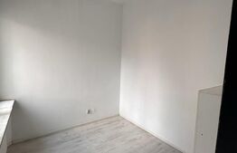 Vila 8 camere, 240 mp, investitie, Piata Victoriei