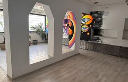 Vila 8 camere, 240 mp, investitie, Piata Victoriei