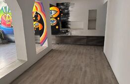 Vila 8 camere, 240 mp, investitie, Piata Victoriei