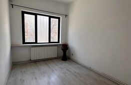 Vila 8 camere, 240 mp, investitie, Piata Victoriei