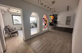 Vila 8 camere, 240 mp, investitie, Piata Victoriei