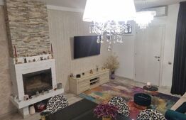 Casa Domenii-Grivitei, S+P+1+M