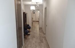 Casa Domenii-Grivitei, S+P+1+M