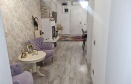 Casa Domenii-Grivitei, S+P+1+M