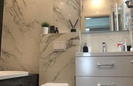 Apartament cu 3 camere, 100mp, curte + loc de parcare, zona Iancu Nicolae