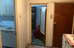 Apartament 3 camere cu centrala, bloc 1980, Titan - Camil Ressu, metrou, Parc IOR