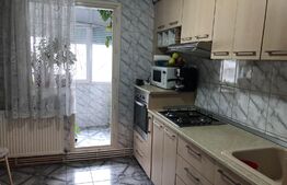 Apartament 3 camere cu centrala, bloc 1980, Titan - Camil Ressu, metrou, Parc IOR