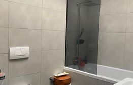 Apartament 3 camere, terasa superba, zona Pipera