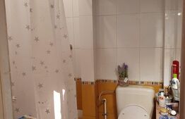 Garsoniera dubla , 40 metri patrati , balcon 5 metri patrati, Parc Ioanid