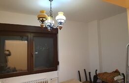 Garsoniera dubla , 40 metri patrati , balcon 5 metri patrati, Parc Ioanid