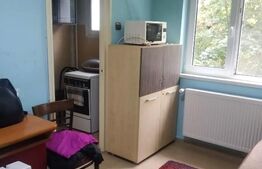 Garsoniera, 18 mp, etaj intermediar, Drumul Taberei