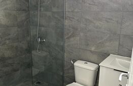 Ocazie! Duplex cu 3 dormitoare Cernica, zona linistita, living generos de 32mp, 2 bai, terasa si balcon, 