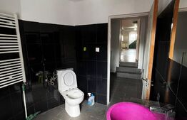 Apartament mansardat, 172 metri patrati, Cismigiu