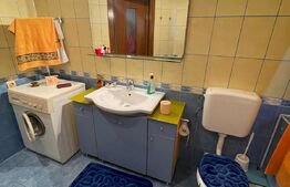 Vila superba, curte imensa, Fundeni-Dobroesti, langa lac