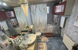 Vila superba, curte imensa, Fundeni-Dobroesti, langa lac