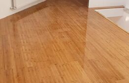 Casa Domenii, 4 camere, 91mp, pretabil si pentru clinica/firma, 1 Mai