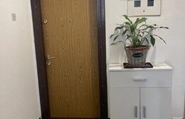 Apartament 2 camere, 48 metri patrati, Ultracentral, Magheru