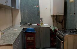  Apartament 5 camere, 174 mp, Gradina Icoanei