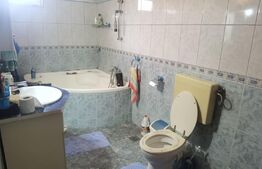 Vila superba 5 camere, 167 mp utili, 350 teren, an 2002,  Voluntari