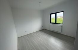 Casa 4 camere, 116mp, Pantelimon