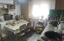 Casa Andronache, 3 camere, 166 mp teren, 61 mp utili, zona Colentina