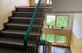 Apartament 2 camare spatios, 55mp, zona linistita Bulevardul Basarabia