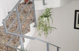 Casa stil bloc P+2+M, 11 camere, teren 500 mp, 80 mp/etaj + casuta in spate 30 mp utili, pretabil firma, Voluntari