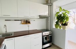 Apartament 2 camere, 48 mp, zona RAR Grivitei