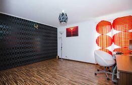 Casa 9 camere, an 2007, 250mp, Andronache, pretabil firma/afterschool