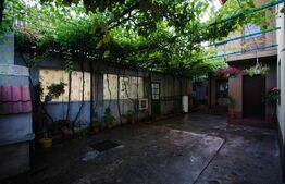 Casa 9 camere, an 2007, 250mp, Andronache, pretabil firma/afterschool