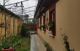 Casa 4 camere, zona Colentina, cartier Ion Creanga-Dragonul Rosu, 250 mp teren