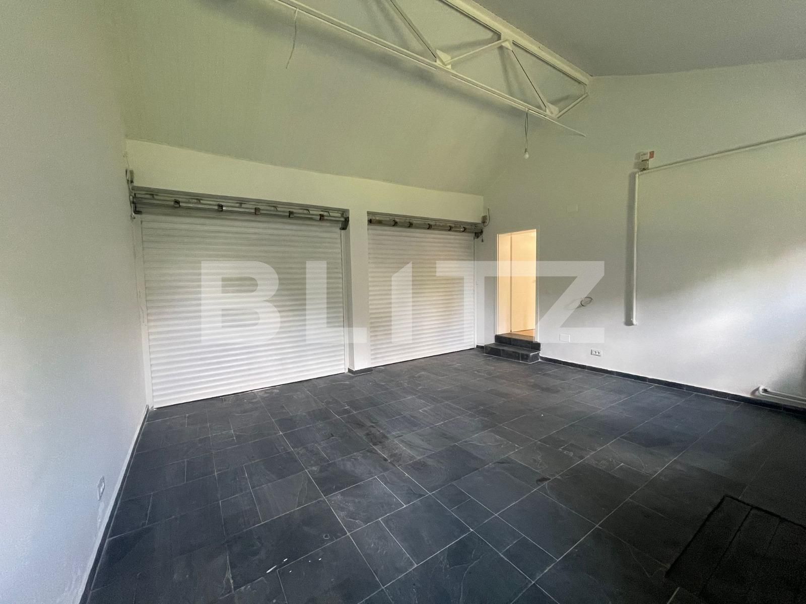 Casa de vânzare 5 camere Baneasa - 116806CV | BLITZ București | Poza13