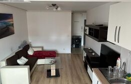 Apartament 2 camere, etaj 10/10, 44mp, zona Theodor Pallady