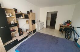 Garsonieră, 21mp, utilată/mobilată, zona 1 Decembrie 1918