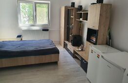 Garsonieră, 21mp, utilată/mobilată, zona 1 Decembrie 1918