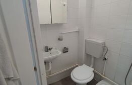 Garsonieră, 21mp, utilată/mobilată, zona 1 Decembrie 1918