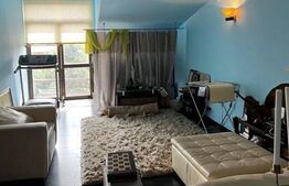  Casa 3 camere,  P+E+M, 171 mp, teren 167mp, Parcul Carol 