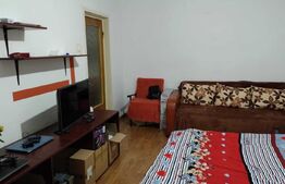 Apartament 2 camere, 50 mp, Gorjului 