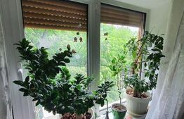 Apartament 2 camere, 51mp, Drumul Taberei