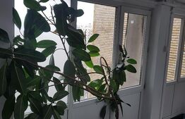 Apartament 3 camere, 71mp, Iancului