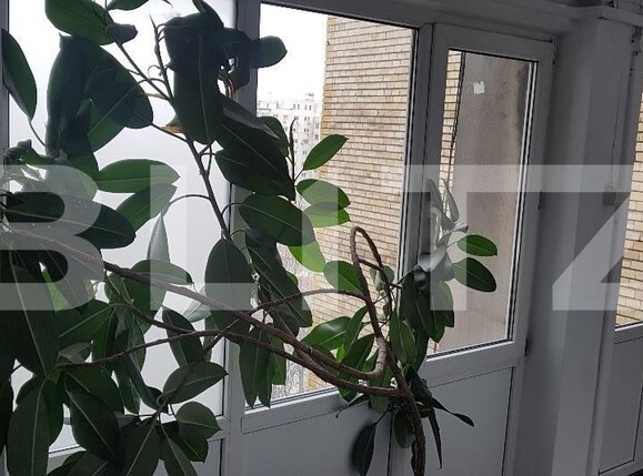 Apartament de vânzare 3 camere Iancului - 118981AV | BLITZ București | Poza2