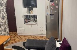 Apartament 2 camere, 28mp, Dobroesti