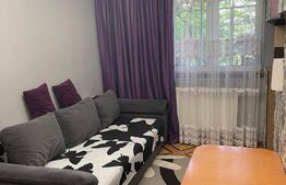 Apartament 2 camere, 28mp, Dobroesti